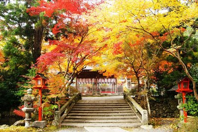 🍁 괭이산 신사(구와야마 진자) 이미지 2